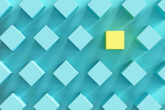 Digital Marketing Strategy | Denver, CO